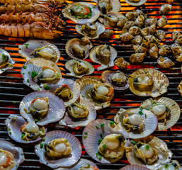 oysters grilled seafood scallop food background
