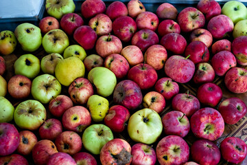 Red and yellow apples in the corner on the floor. Defocused, close up