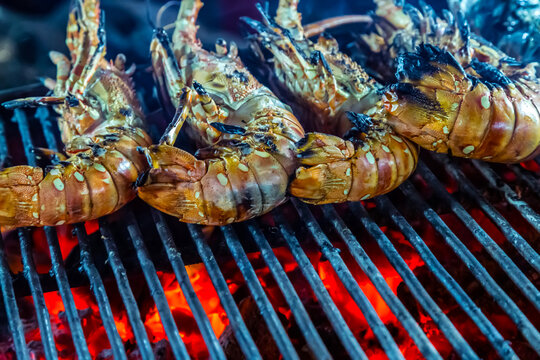 tiger prawns roasted shrimps