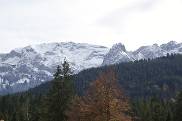 Buchenberg bei Buching Aussicht