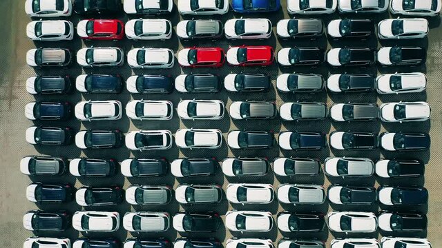 Rows of new cars parked in car parking lot