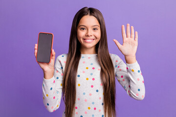 Photo portrait of brunette girl showing hand five fingers holding phone with copyspace isolated on...