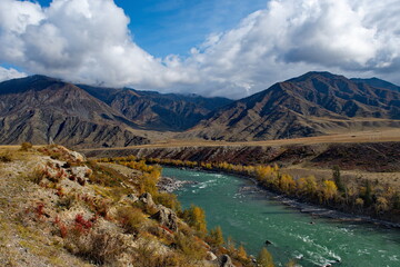 Naklejka premium Russia. Mountain Altai. Katun river along the Chui tract near the village of Maly Yaloman.