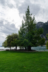 Brzeg jeziora Garda 