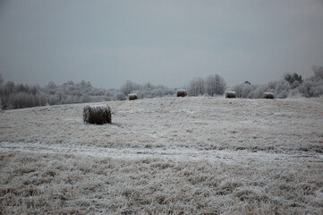 roll of hay in a field