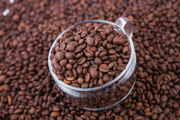 Cup of coffee on the coffee beans background