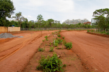  Land that local Indigenous people were living on that is being cleared to make room for a new road in Northwest Brasilia
