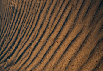 Wind forming equally spaced ripples on a sand dune like a fingerprint