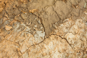 Salty soil