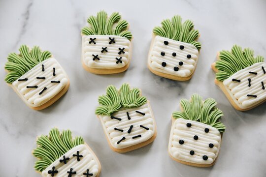 succulent sugar cookies