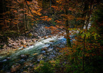 Wandern in der Herbstsonne in der Breitachklamm in Oberstdorf, wunderbare Herbstfarben