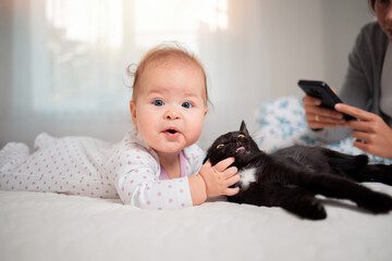 Portrait of a funny baby playing with a cat on the bed. His mother is sitting behind him, holding the phone. The concept of childhood