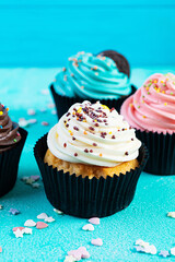 Tasty colorful cupcakes isolated on blue background. Delicious cupcake