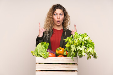 Farmer with freshly picked vegetables in a box isolated on beige background pointing with the index finger a great idea