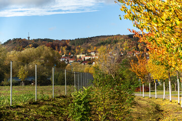 Herbstlicher Blick auf den Landgrafen in Jena