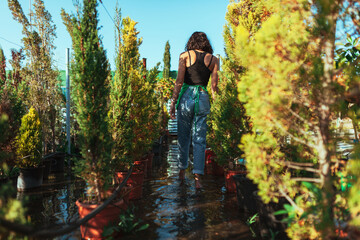 Woman gardener checking out the cypress trees in the plant nursery