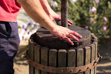 Winepress with red must and helical screw. Winemaker's hands close up.