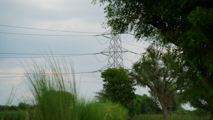 power transmission in a natural landscape with trees and sky