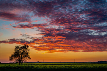 Obraz na płótnie Canvas beautiful colorful sky setting sun over fields and trees