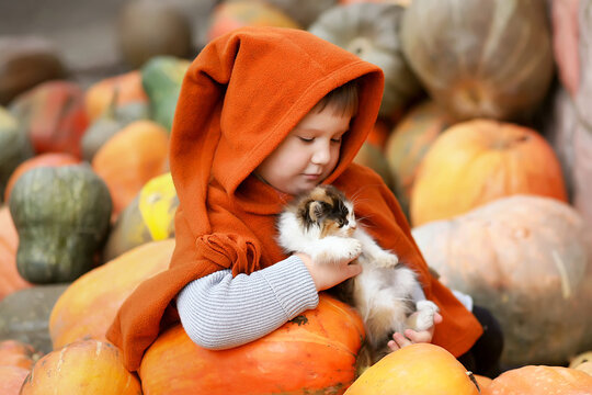 A small/ little child girl in an orange raincoat / poncho with a gnome long hood on a pile / slide of colorful pumpkins with a small kitten. Bright autumn picture, harvest, thanksgiving