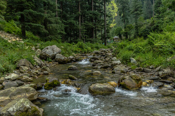 The various views of Jibhi Village