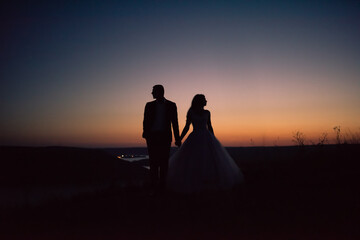 Silhouettes of bride and groom in wedding dress at night against backdrop of large lake and islands. Bakota, Ukraine