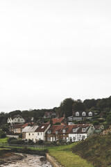 Generic British countryside village houses on an overcast day with copy space above.