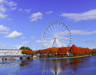 Autumn colors in old montreal and a beautiful view of Old Port wheel