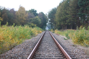 Fototapeta na wymiar Eisenbahnschienen in Herbst