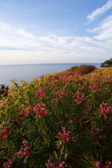 Fototapeta premium Paisajes y atardeceres de Mallorca España, con colores naranjas, rosados y azules. El mar esta en calma y las contrastes y sombras son muy marcadas.