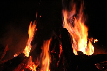 Various views of a campfire