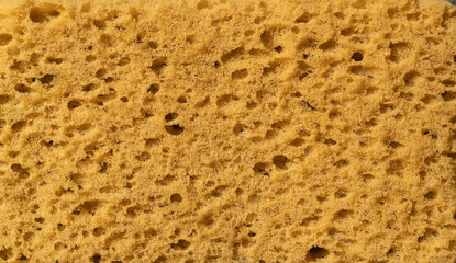 Closeup of dirty yellow sponge