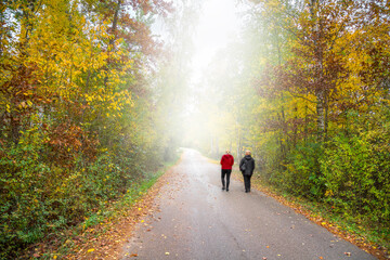 Person in woods in the fall. Relax and clear your head concept