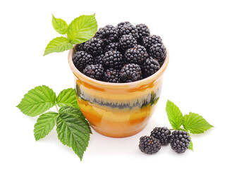 Blackberry berries on a green leaf in a pot.