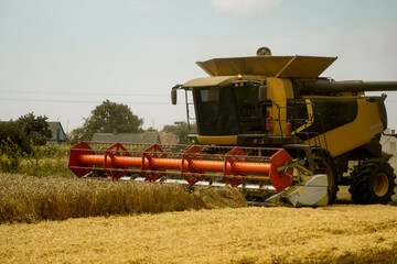 Combine harvester agriculture machine harvesting golden ripe wheat field. Agriculture. Combine harvester harvesting wheat with dust straw in the air. Heagy agricultural machinery.