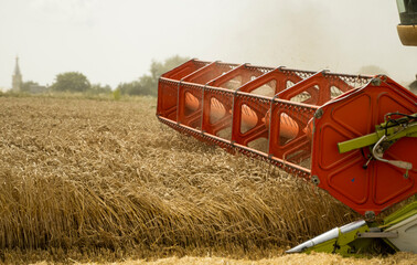 Combine harvester agriculture machine harvesting golden ripe wheat field. Agriculture. Combine...