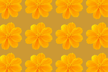 yellow flower and gold background pattern