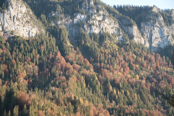 herbst, fall, wald, natur, landschaft, baum, blatt, gelb, berg, green, jahreszeit, orange, park, rot, bunt, laub, holz, farbe, hills, anblick, ahorn, landscape, autumn