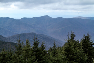 Blue Ridge Mountain Vista in North Carolina
