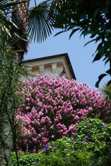 Gärten auf der Isola Madre, Lago Maggiore
