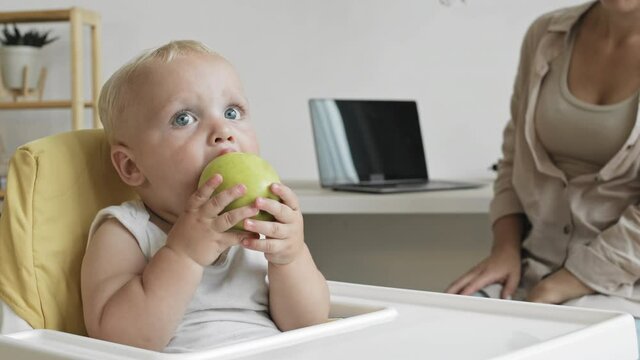 Close up of young Caucasian woman sitting at desk at home, working on laptop and then checking on adorable child sitting on highchair and eating apple
