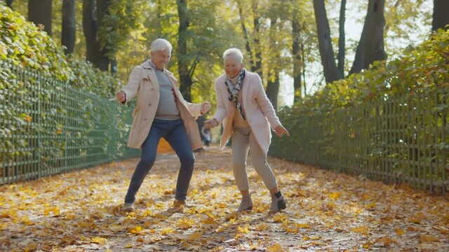 Happy beautiful senior couple dancing in autumn park