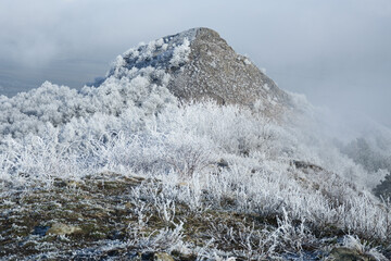 Winter in Central Bohemian Uplands, Czech Republic. Frozen landscape. Central Bohemian Highlands....