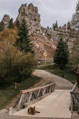 old stone bridge in the park