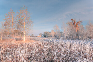 Freshness of November dreamy frosty morning. Beautiful autumn misty cold sunrise landscape. Fog and hoary frost at scenic high grass meadow.