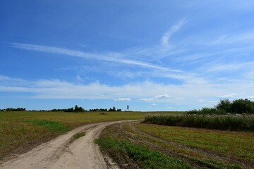 Fototapeta na wymiar road in the field