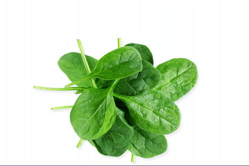 garden fresh green spinach leaves isolated closeup on white background