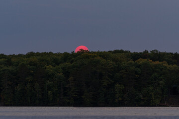 Bright pink-orange sun setting behind tree horizon