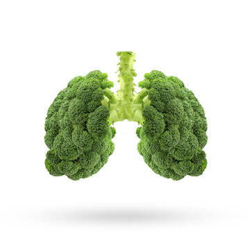 Conceptual image of green broccoli  shaped like human lungs, Green broccoli shaped in human lungs. Conceptual image,Human lungs. Respiratory system. Healthy lungs. Light in the form of a  vegetable