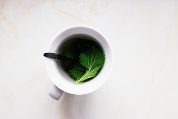 Green nettle tea in a cup. View from top. Low key light. Still life photo. White background. Simple motive.